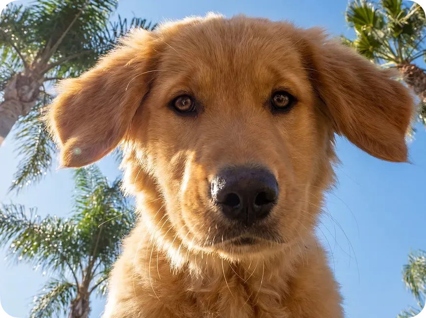 Менее 10 секунд на изображение